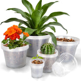 OUPSAUI front view full set showing all five pot sizes and benefit of variety