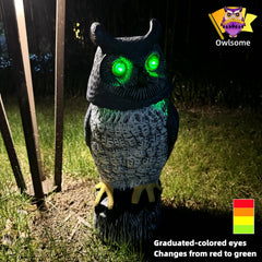 Owlsome rotating head in motion to create lifelike movement and presence