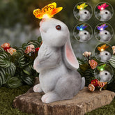 PaLuQiYa rabbit front view showing smiling face and LED lighting benefit