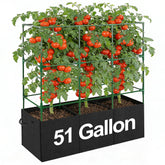 PAMASE front view trellis and grow bag showing organized vertical support and space savings