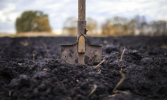 Park Seed granular inoculant close-up texture highlighting easy application