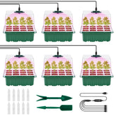 Pattiumo front view of full six-pack kit ready to use, organized and compact