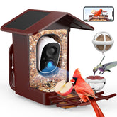 PeckCam front view showing feeder and camera, clear backyard observation