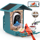 PeckCam front view showing camera and feeder, clear live-stream benefit