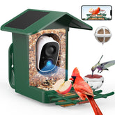 PeckCam front view showing feeder and camera, provides clear backyard monitoring