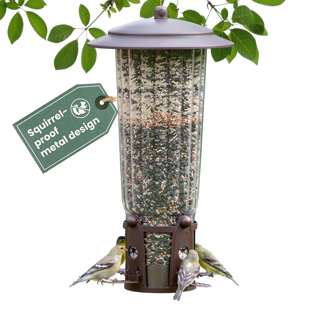 Perky-Pet front view showing feeder and clean design for better bird watching