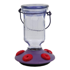 Perky-Pet feeder front view showing purple glass and five feeding ports, attracts birds