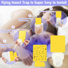 Pestvanish on a kitchen counter trapping gnats near fruit for cleaner food prep