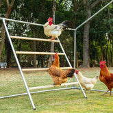 Petsfit front view of square roost showing stable multi-level design benefits