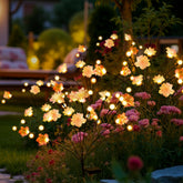 PEVOROS front packaging showing eight warm white solar flower lights and benefits