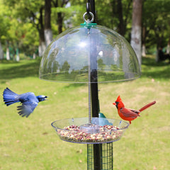 PFNRTH feeder in use with a songbird perched offering clear seed visibility