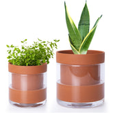 Phoenix Vine 6-inch terracotta planter front view showing clean tabletop benefit