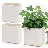 Phoenix Vine front view of three oatmeal planters showing space-saving display