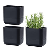 Phoenix Vine front view black three-pack showing space-saving display