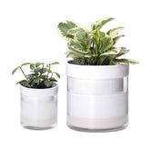 Phoenix Vine front view white terracotta planter showing clean lines and modern look