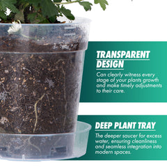 Phoenix Vine raised base detail improving airflow and healthier roots