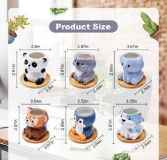 Photken cow planter close-up of glossy ceramic texture and cute face for charm