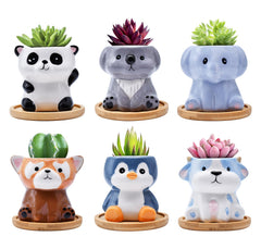 Photken front packaging showing six animal mini planters and gift-ready look
