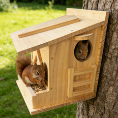 Pickei feeding shelf with nuts demonstrating safe, sanitary feeding spot