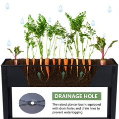 Piksedo planted on balcony with herbs and vegetables benefit: ergonomic gardening without bending