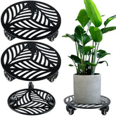 Planterhoma front view showing decorative leaf design and sturdy rim for display