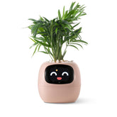 PLANTSIO front view pink planter showing modern design and easy use