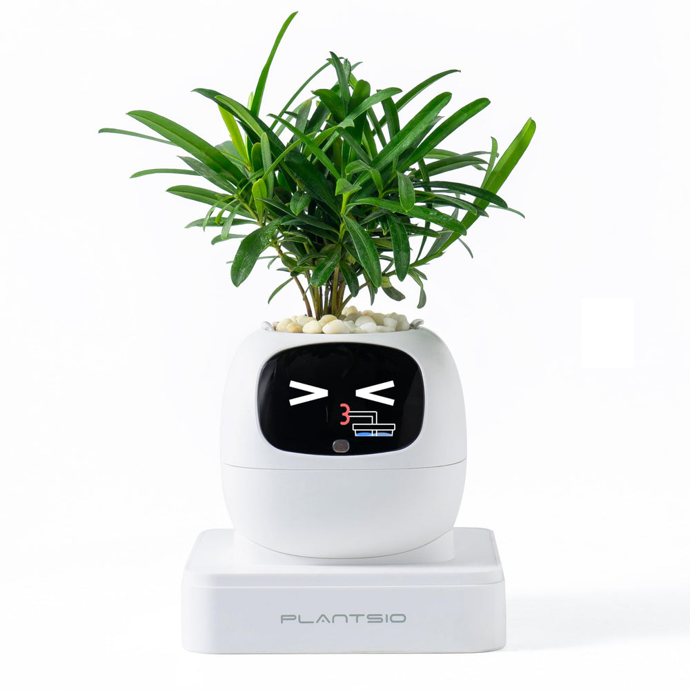 PLANTSIO front view showing clean white planter and modern aesthetic benefit