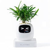 PLANTSIO front view showing clean white planter and modern aesthetic benefit