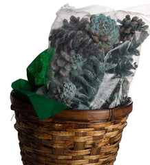 Close-up of Plow & Hearth cone texture and treated surface revealing quality finish and detail