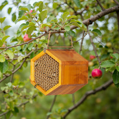 POLLIBEE stainless screw clasp close-up ensuring secure closure and durability