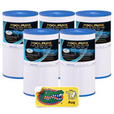 POOLPURE front view of C-6430 five-pack showing packaging and model