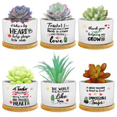 Potchen front packaging of six bright teacher succulent pots shows gift-ready presentation and convenience