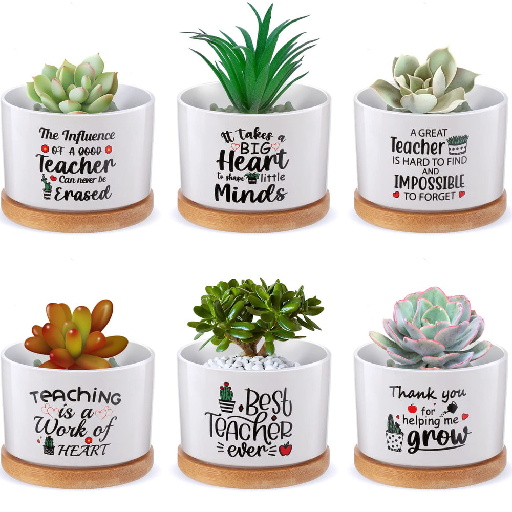 Potchen front packaging showing six teacher pots and bamboo trays, ideal gift presentation