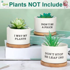 Potchen next to ruler showing compact pot size and easy placement