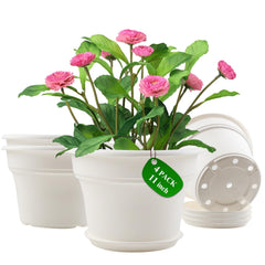 Pottiffe front view of 11 inch planter four pack showing neat display benefit