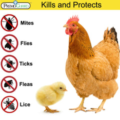 Premo Guard being applied to a chicken demonstrating safe topical use