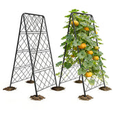 PyraLine front view of A-frame trellis showing sturdy frame and grid, strong support