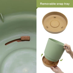 QCQHDU drainage hole and saucer capturing excess water to protect surfaces