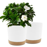 QCQHDU front view of two 10-inch planters showing modern matte finish and clean lines, stylish decor benefit
