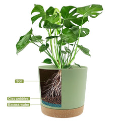 QCQHDU planted pot on kitchen counter adding clean modern greenery