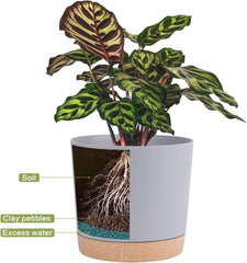 QCQHDU 10 inch pot styled with succulent demonstrating attractive indoor display