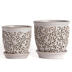 QCYBDGLOV front view white orchid pot showcasing clean aesthetic and display benefit