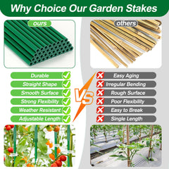 Qinzave assembled triangular tomato cage supporting healthy vines