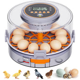 QMKGEC incubator front pane showing compact design and secure latches for safe use