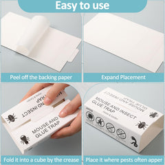 Qualirey folded board placed against baseboard protecting glue and catching pests