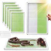 Qualirey front packaging six-pack showing trays and benefit of ready-to-use convenience