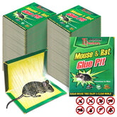 Qualirey front packaging showing 48 large sticky boards for reliable pest control