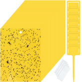 Qualirey front packaging stacked showing value pack and quantity benefit