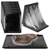 Qualirey front view of large glue tray showing broad coverage and quick setup benefit
