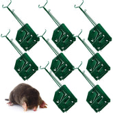 Qualirey front view pack showing eight traps and packaging, durable protective option